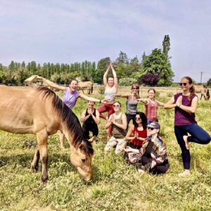 Week-end Yoga et Cheval en forêt de Fontainebleau (Seine-et-Marne ; 2j)