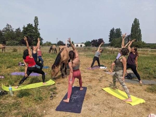 Week-end Yoga et Cheval en forêt de Fontainebleau (Seine-et-Marne ; 2j) – Image 3